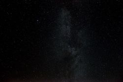 Zwaan_f3_5_30_800