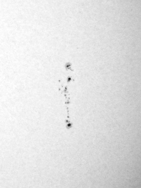 20100208_Sunspots_001_480x640